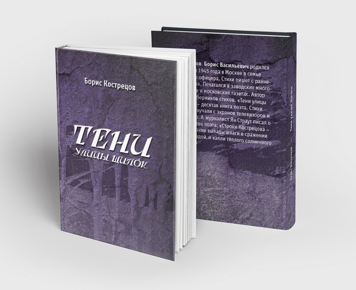 Book cover «Тени улицы Щипок»