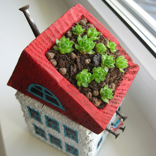 House for a plant