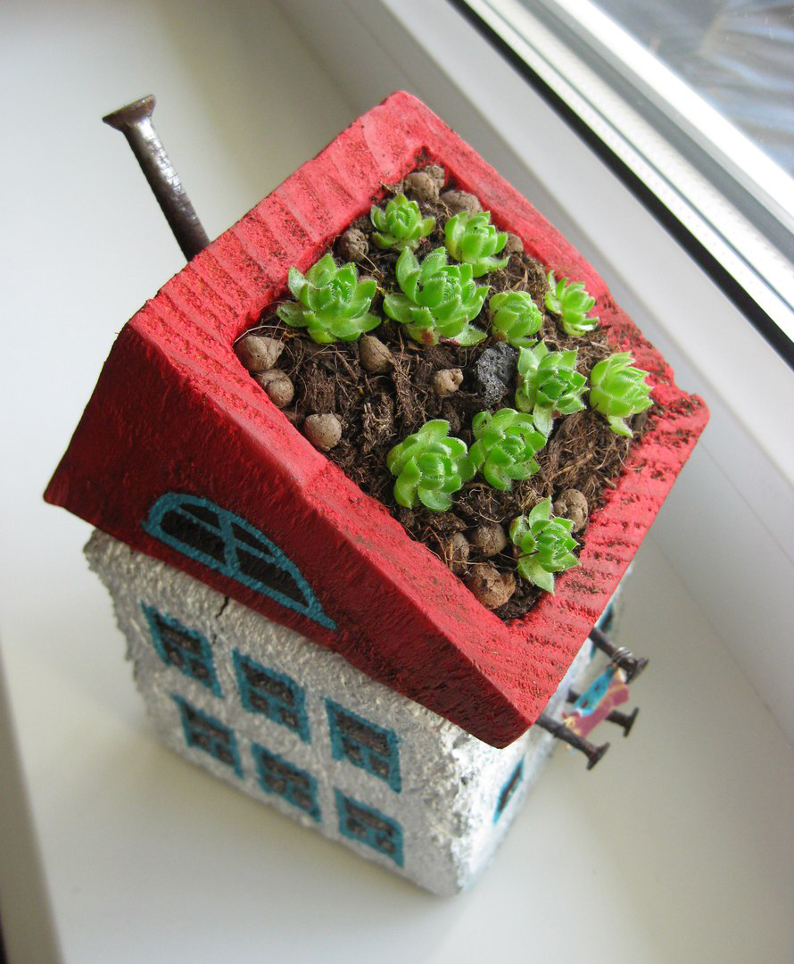 House for a plant