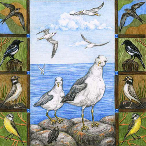 Seagulls near the sea