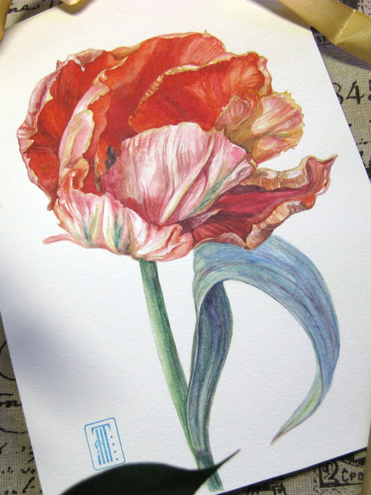 Watercolor tulip